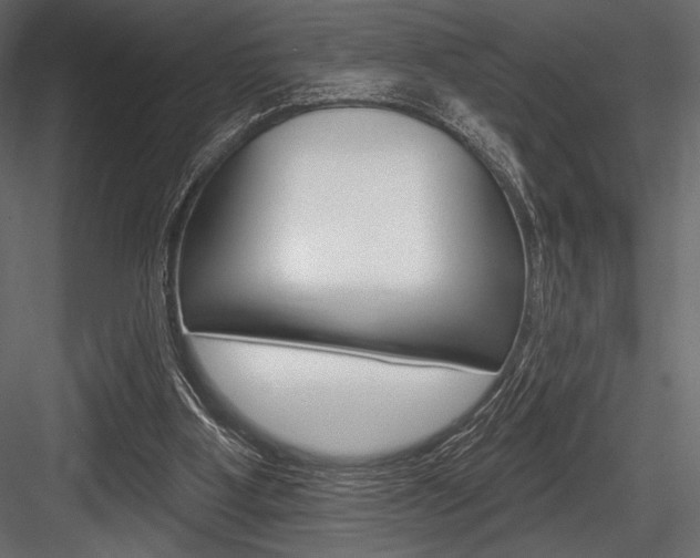 X0000084520107200702230848