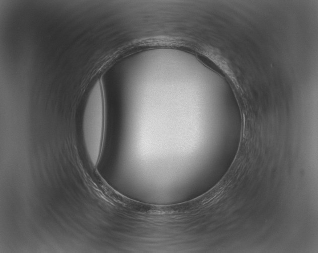 X0000084520109200702230848
