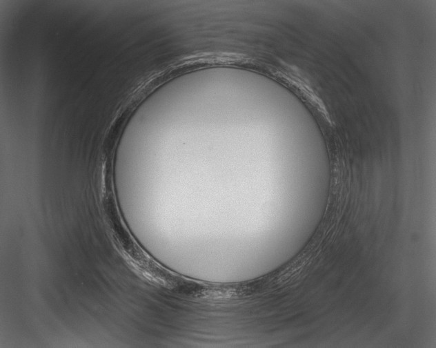 X0000084520110200702230848