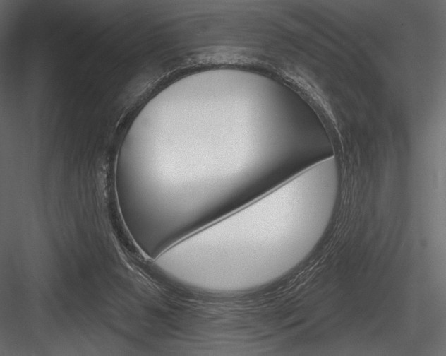 X0000084520111200702230848