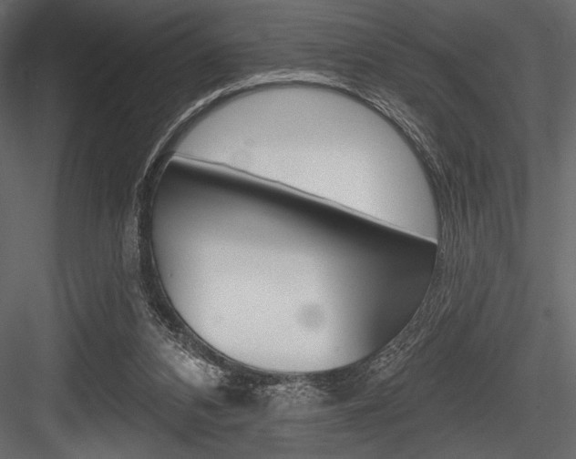 X0000084520112200702230848