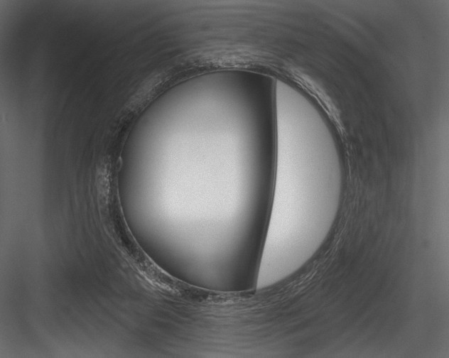 X0000084520113200702230848