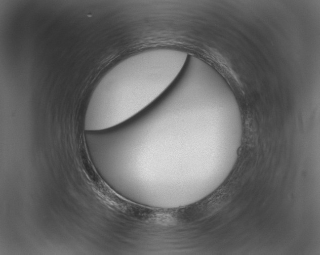 X0000084520114200702230848