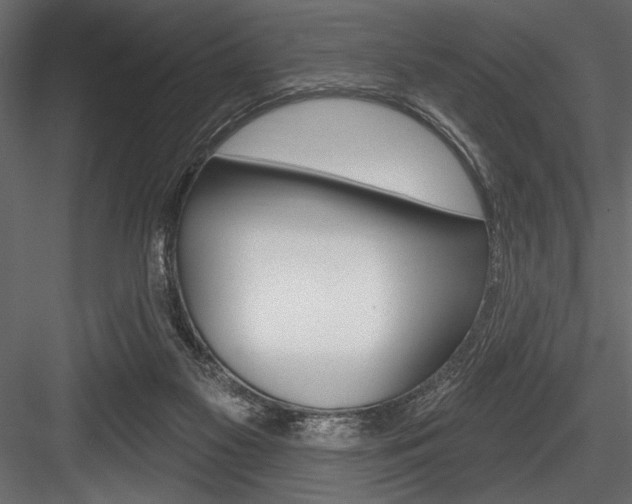 X0000084520117200702230848