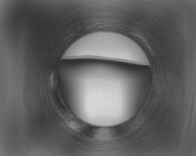 X0000084520123200702230848