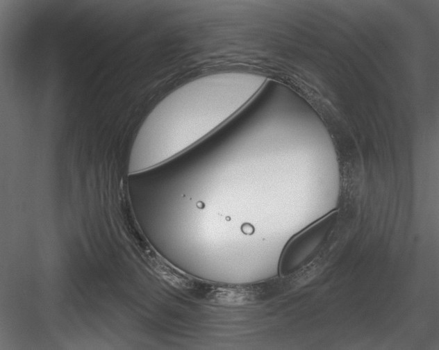 X0000084520127200702230848