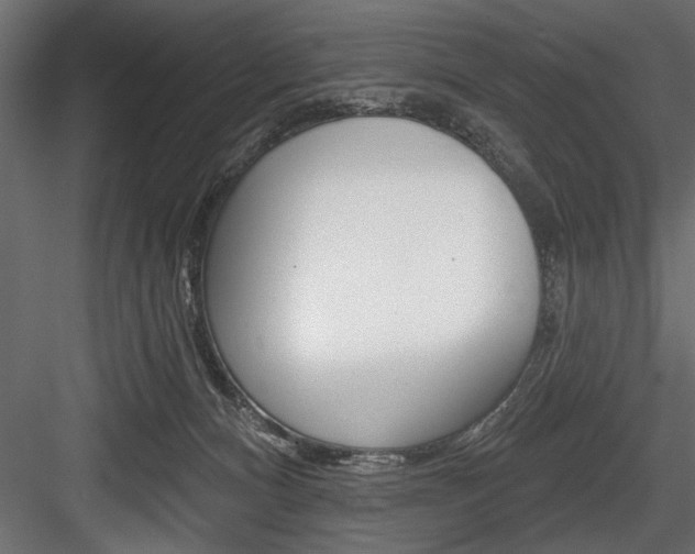 X0000084520128200702230848