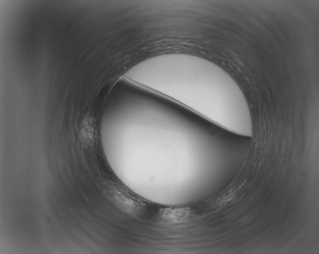 X0000084520135200702230848