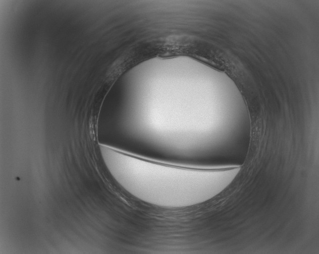 X0000084520137200702230848