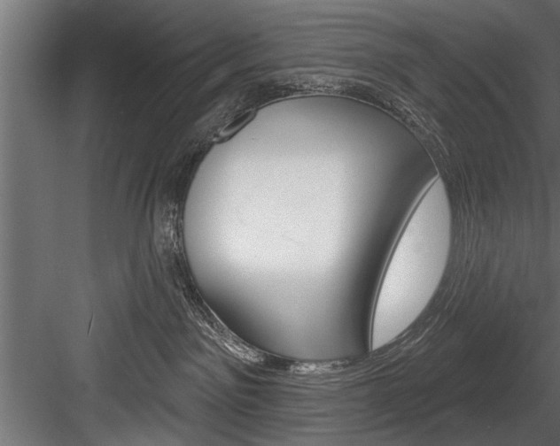 X0000084520141200702230848