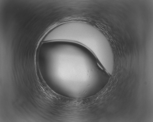 X0000084520148200702230847