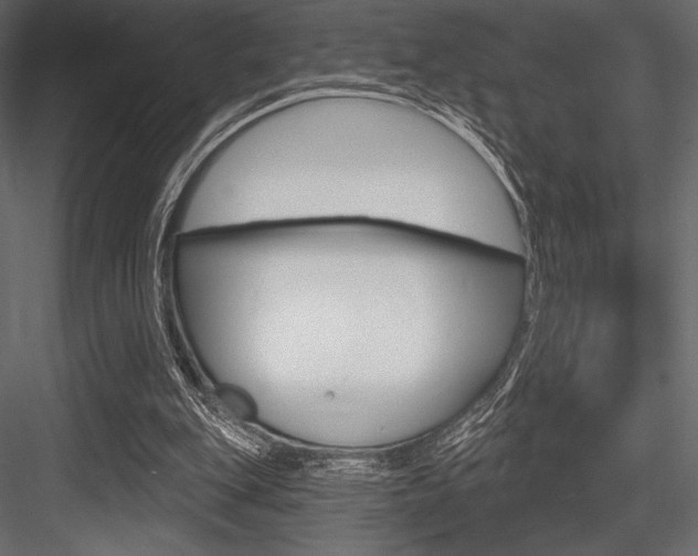 X0000084520151200702230847