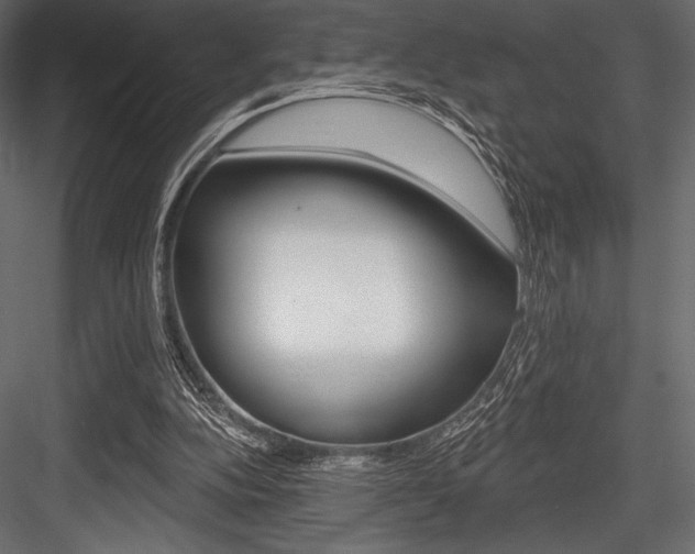 X0000084520152200702230847