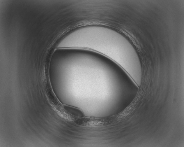 X0000084520158200702230847
