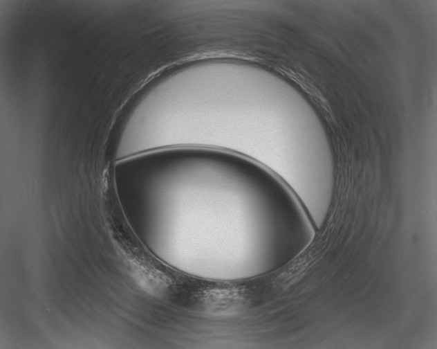X0000084520160200702230847