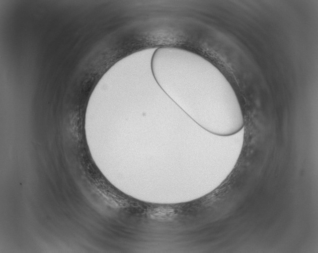 X0000084520162200702230847