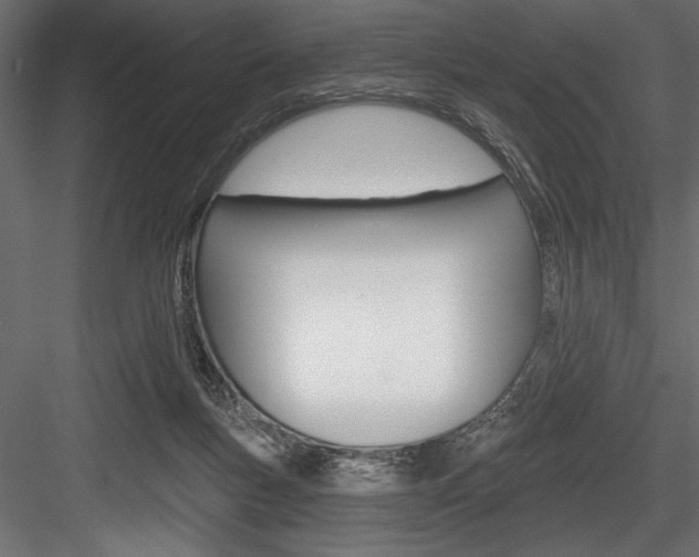 X0000084520167200702230847