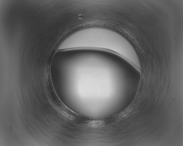 X0000084520168200702230847