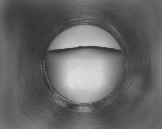 X0000084520169200702230847