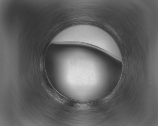 X0000084520170200702230847