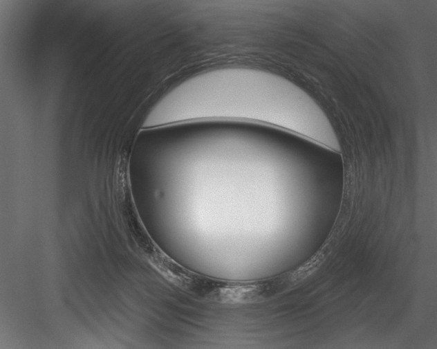 X0000084520172200702230847
