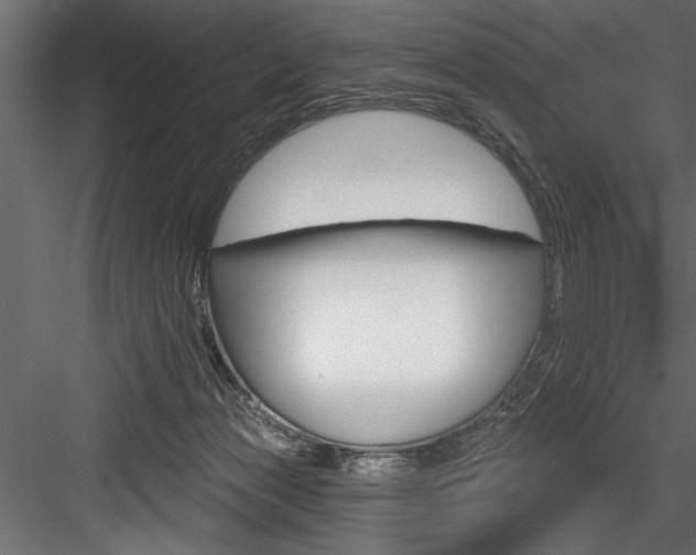 X0000084520173200702230847