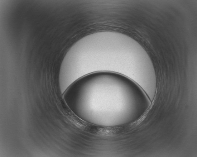 X0000084520174200702230847