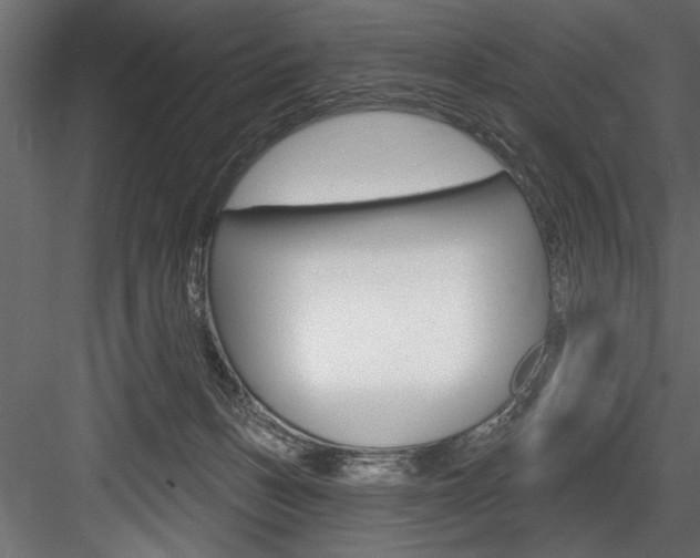 X0000084520175200702230847