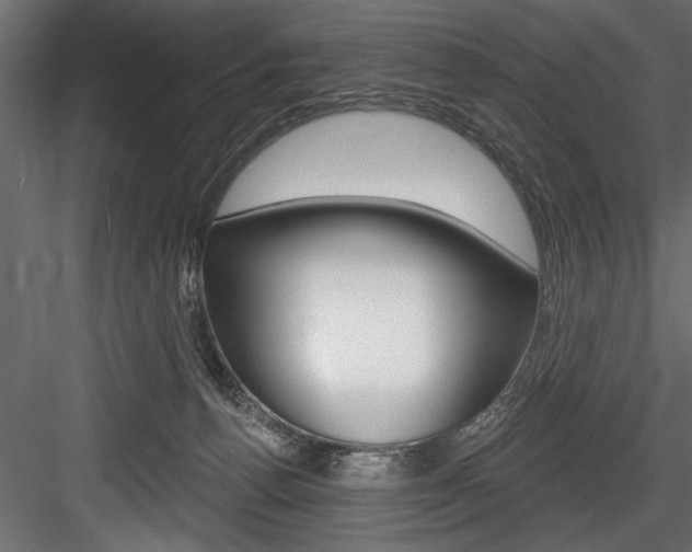 X0000084520176200702230847