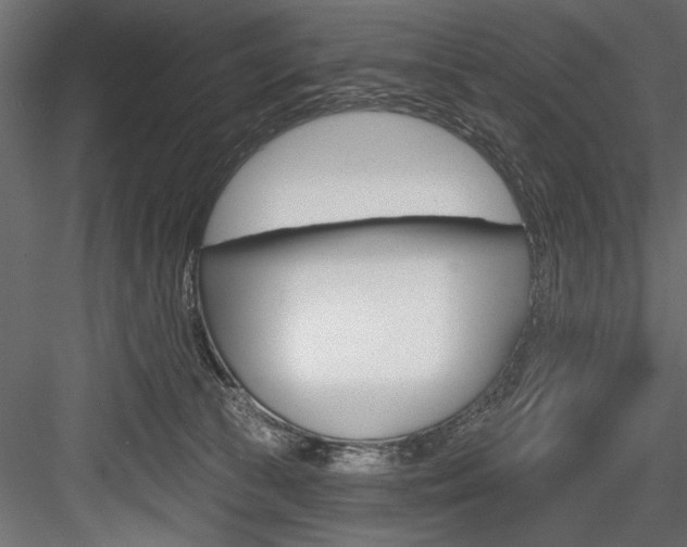 X0000084520177200702230847