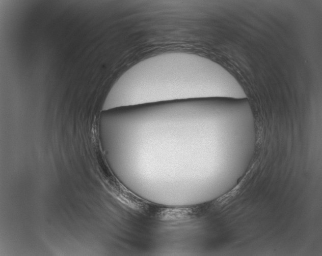X0000084520179200702230847