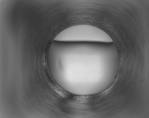 X0000084520182200702230847