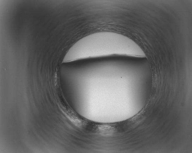 X0000084520183200702230847