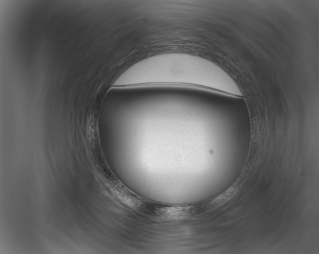 X0000084520184200702230847