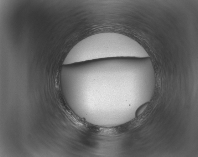 X0000084520185200702230847