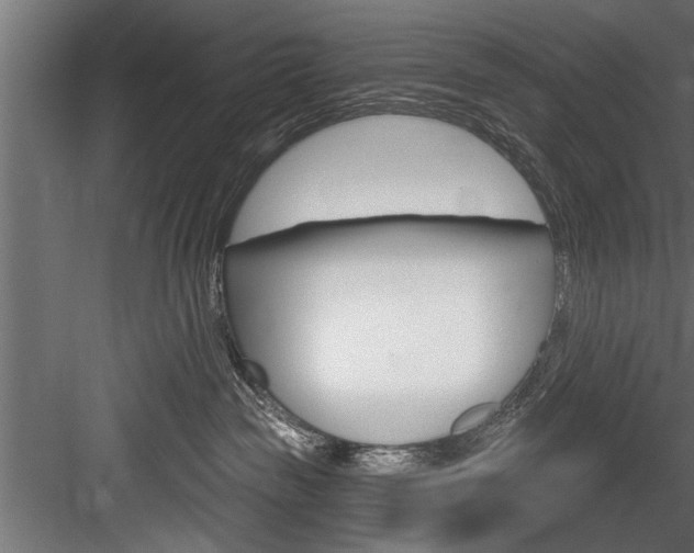 X0000084520189200702230848