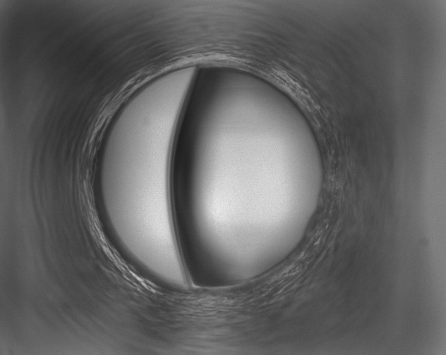 X0000084520193200702230847