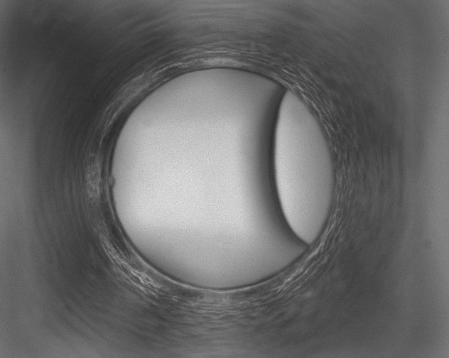 X0000084520194200702230847
