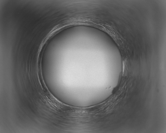 X0000084520195200702230847