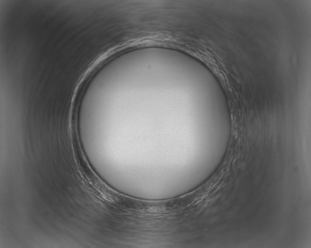 X0000084520196200702230847