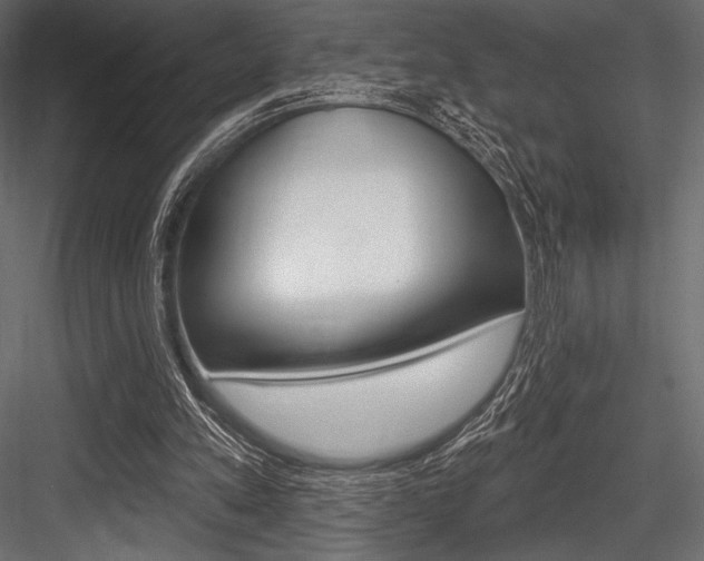 X0000084520197200702230847