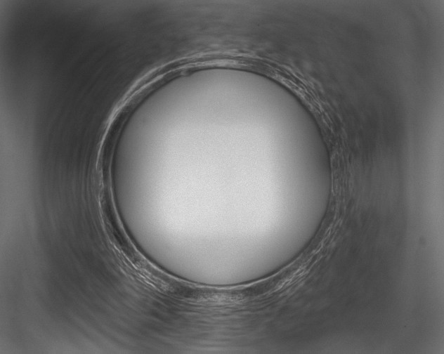 X0000084520198200702230847