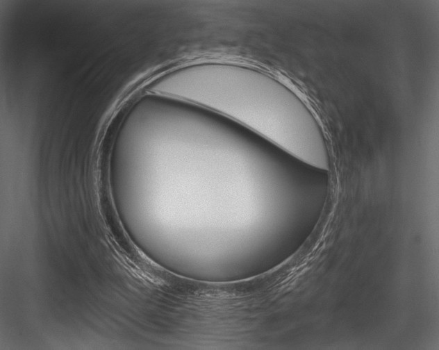 X0000084520199200702230847