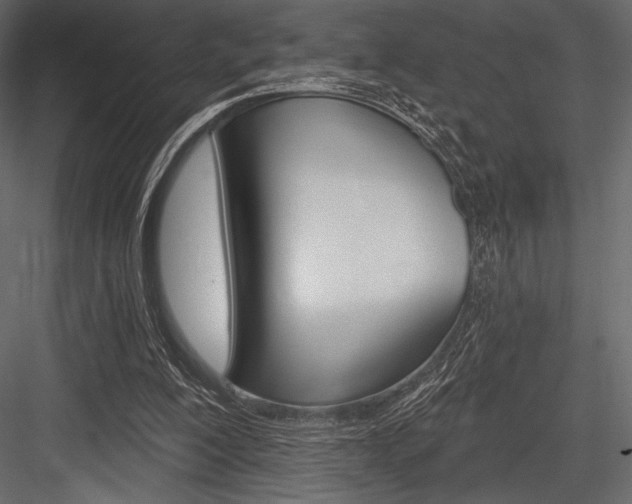 X0000084520200200702230847