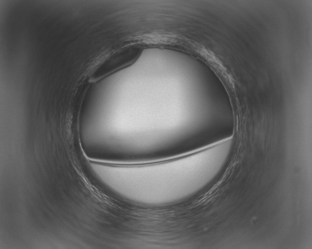 X0000084520201200702230847