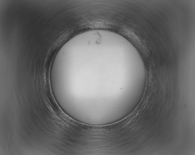 X0000084520202200702230847