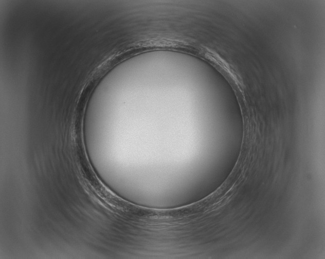 X0000084520203200702230847