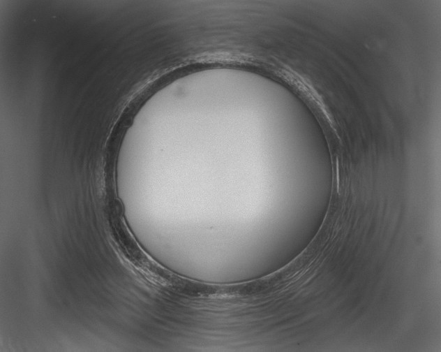 X0000084520204200702230847