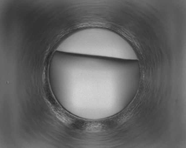 X0000084520206200702230847