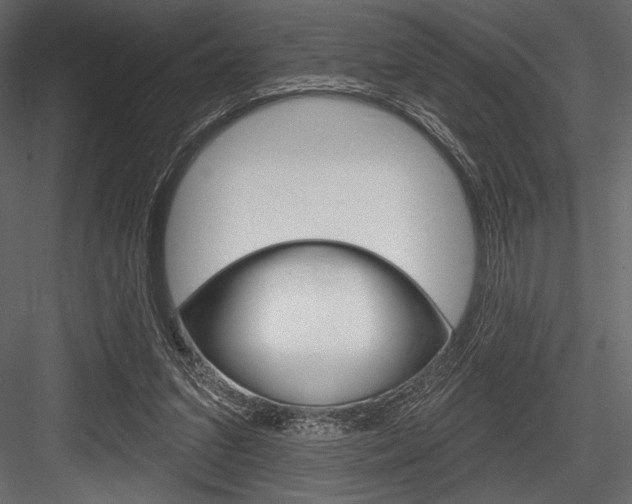 X0000084520207200702230846